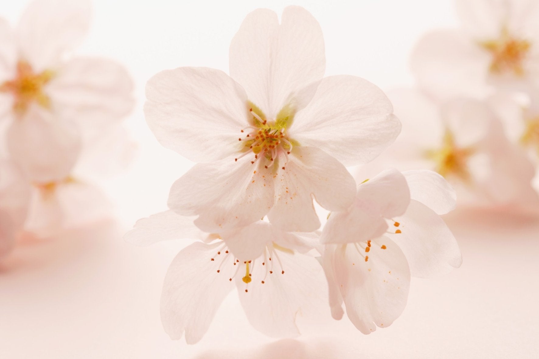 Protect  for skin's lipid barrier for a healthy complexion