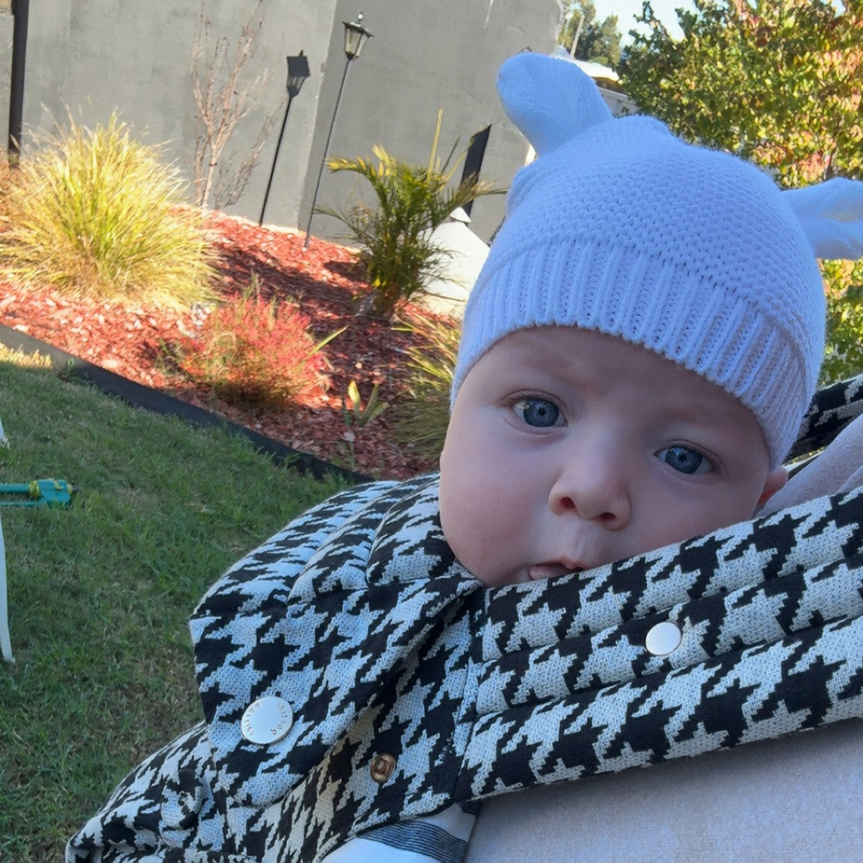 Cute baby