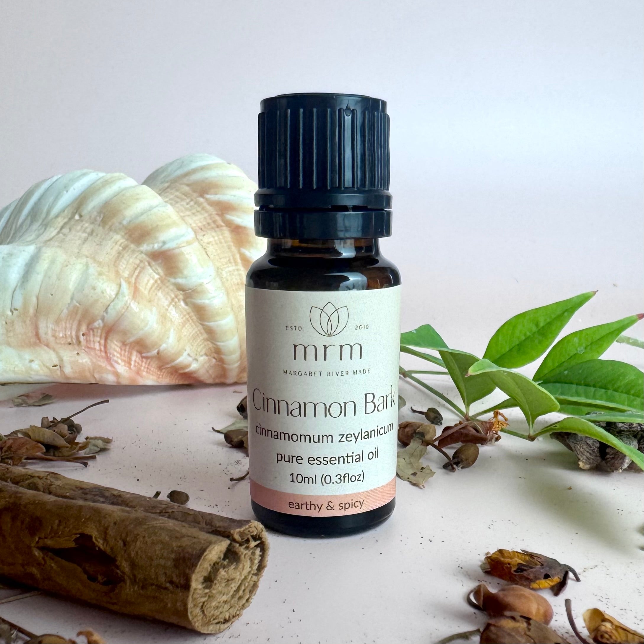 Cinnamon Pure Essential Oil