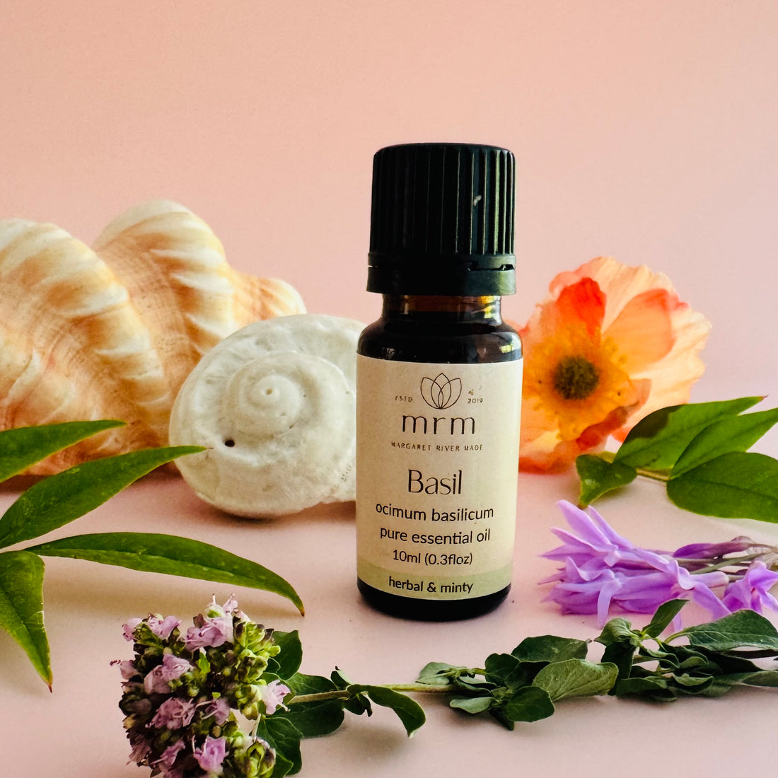Basil Pure Essential Oil