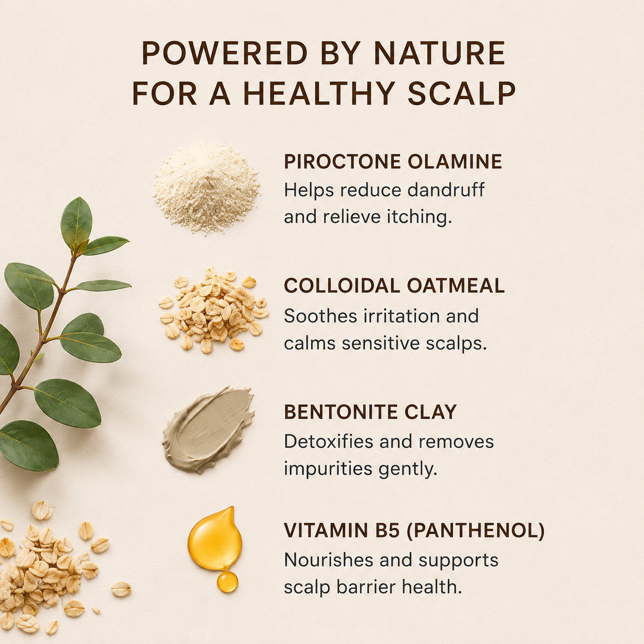 Specific ingredients outlining the beneficial properties they bring to the shampoo bar