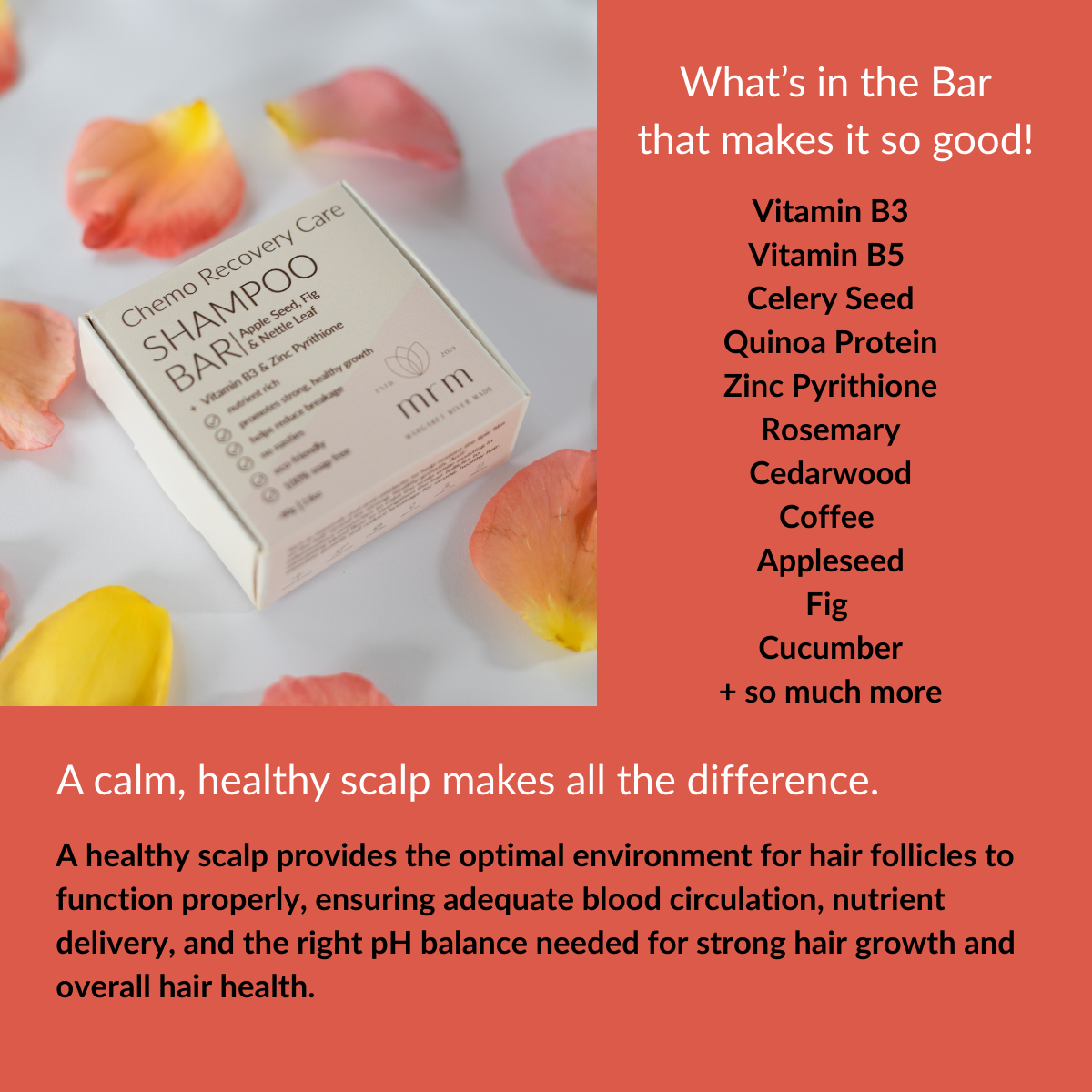 chemo care recovery shampoo bar
