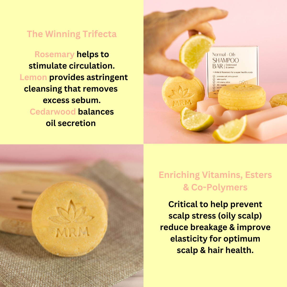 information about shampoo bars