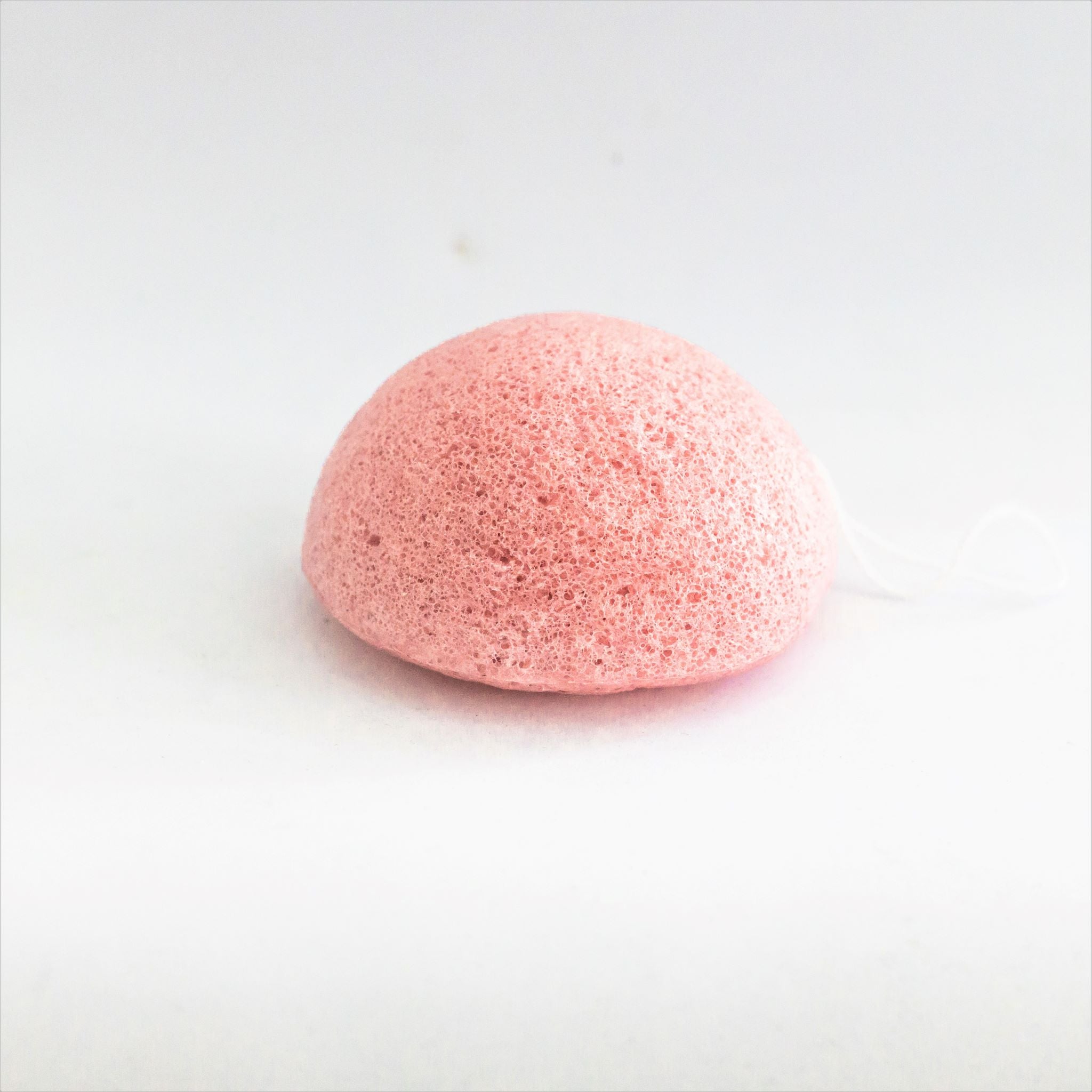 face sponge -konjac