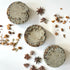 Spice Bar Magic