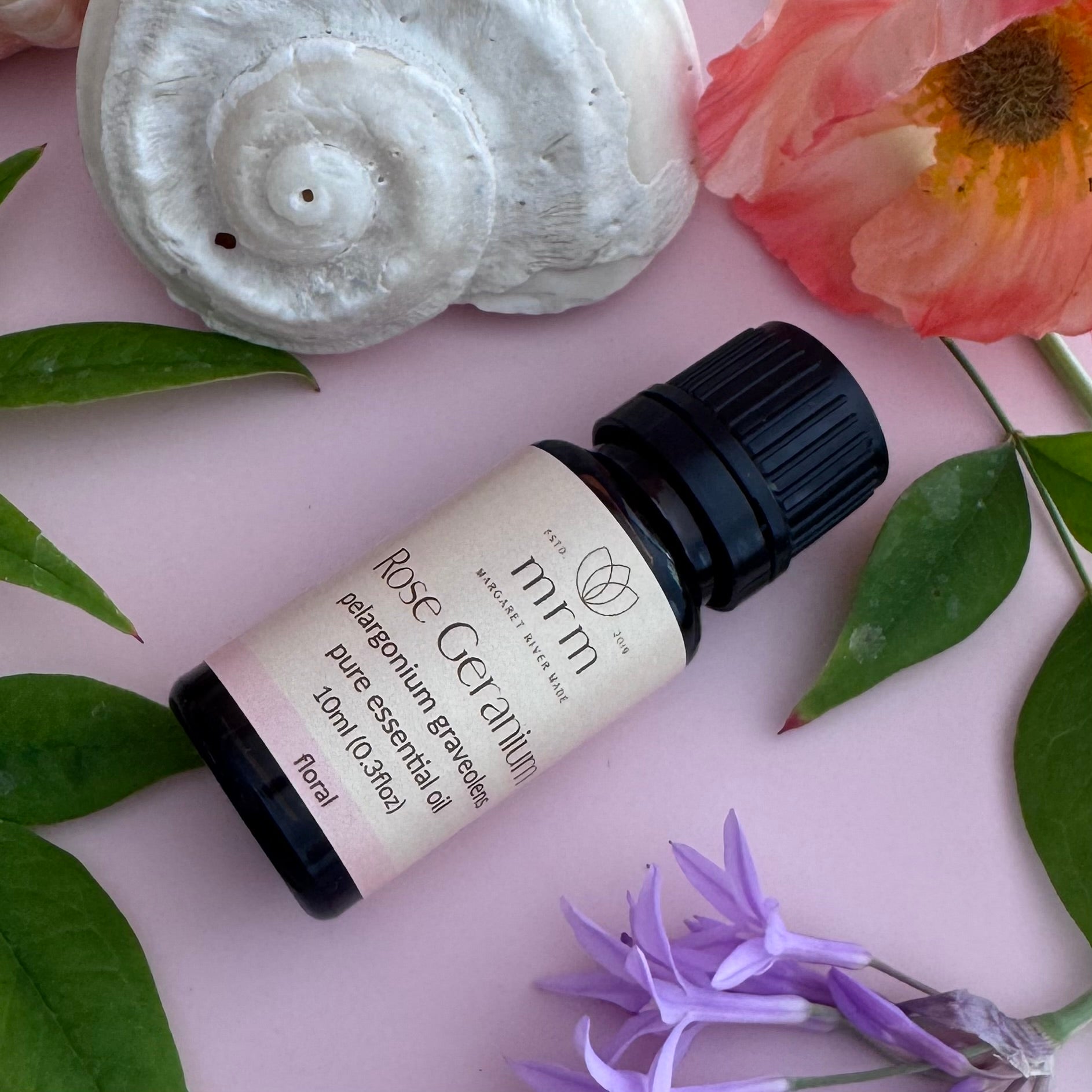 Rose Geranium Pure Essential OIl