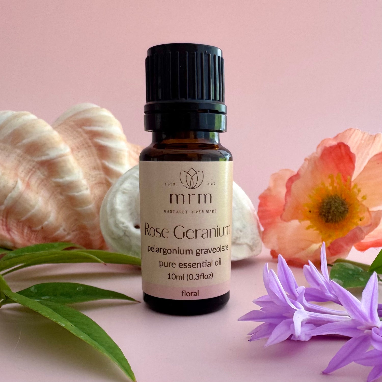 Rose Geranium Pure Essential OIl