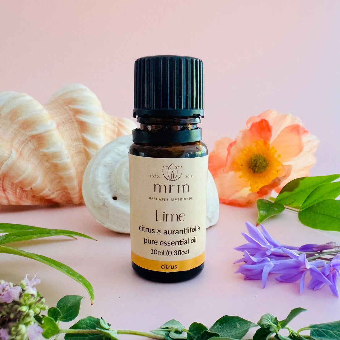 Lime Pure Essential Oil