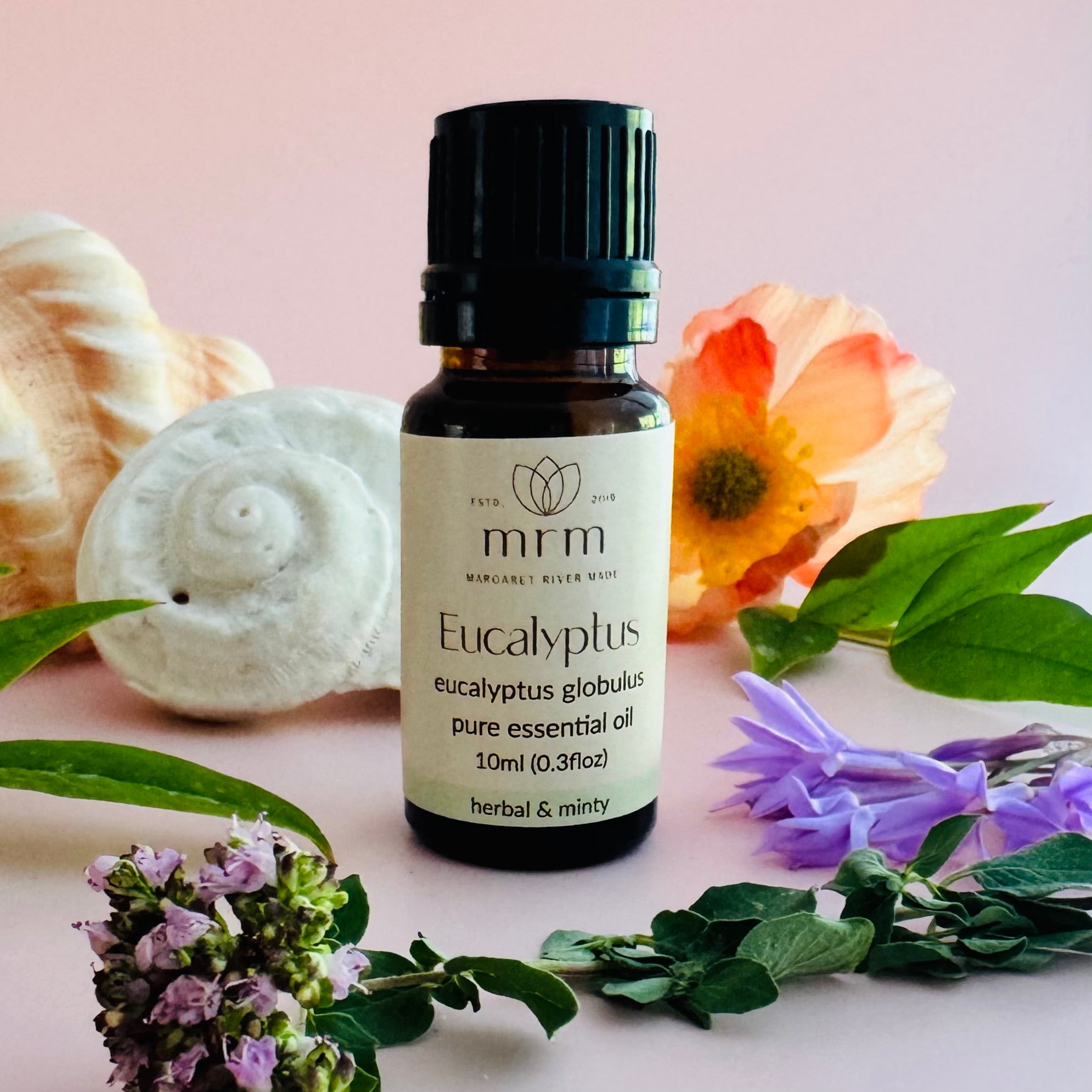 Eucalyptus essential oil
