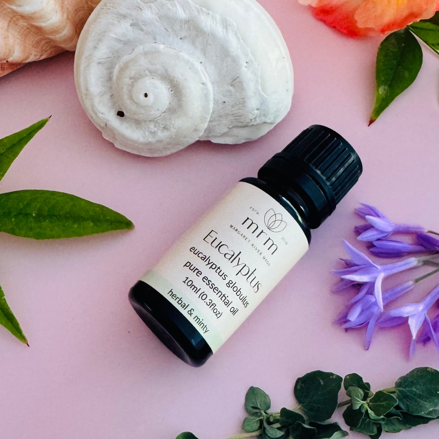 Eucalyptus essential oil

