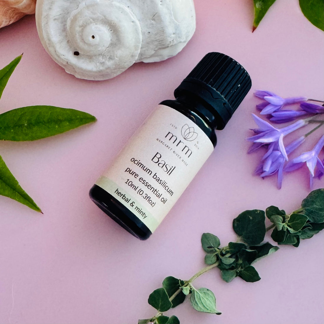 Basil Pure Essential Oil