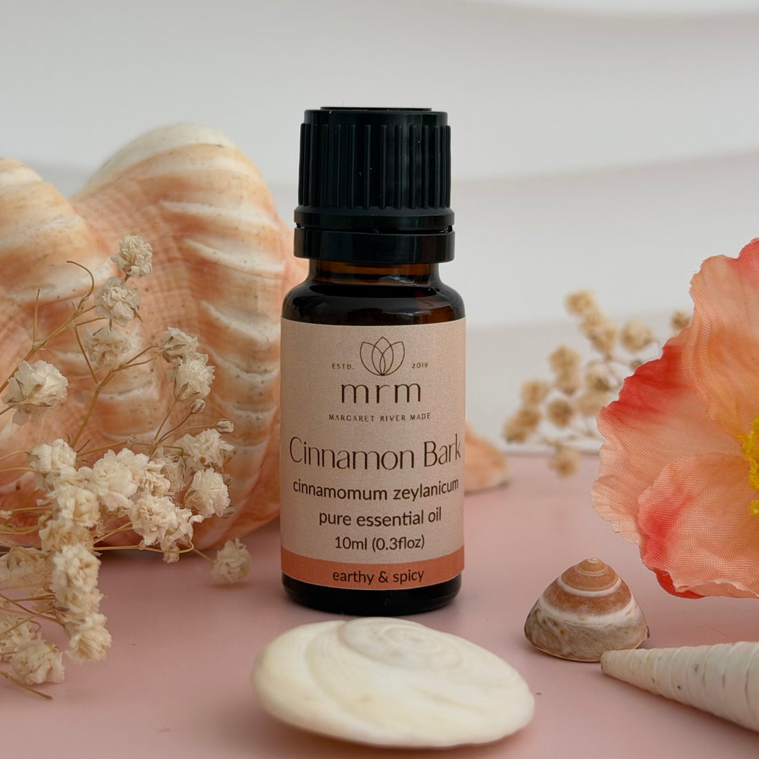 Cinnamon Pure Essential Oil